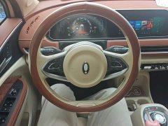 ORA Good Cat 401km Standard Range Luxury LFP - ფოტო 11