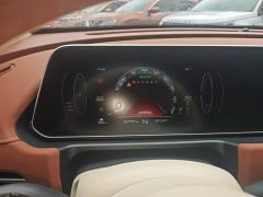 ORA Good Cat 401km Standard Range Luxury LFP - ფოტო 12