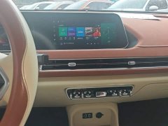 ORA Good Cat 401km Standard Range Luxury LFP - ფოტო 13