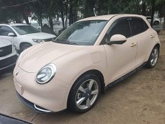ORA Good Cat 401km Standard Range Luxury LFP - ფოტო 2