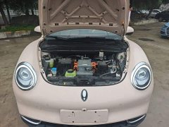 ORA Good Cat 401km Standard Range Luxury LFP - ფოტო 20