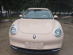ORA Good Cat 401km Standard Range Luxury LFP - ფოტო 3