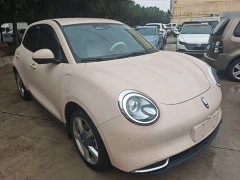 ORA Good Cat 401km Standard Range Luxury LFP - ფოტო 4
