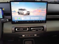 Baojun Yueye Plus 301km Flagship Edition - ფოტო 13