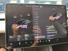 Tesla Model 3 2022 Rear-Wheel Drive - ფოტო 12