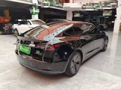 Tesla Model 3 2022 Rear-Wheel Drive - ფოტო 7