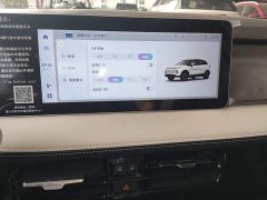 Geely Geometry E Firefly 2024 301km Starlight - ფოტო 13