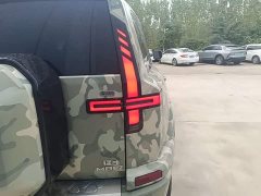 Dongfeng Mengshi M817 Max - ფოტო 8