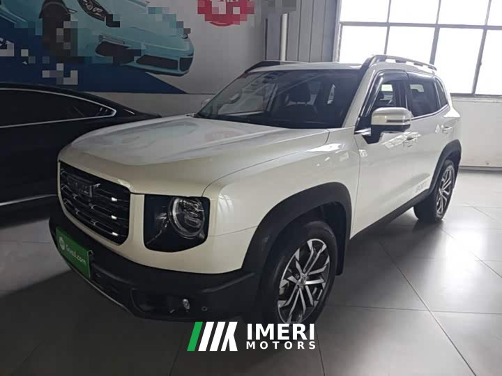 Great Wall Dachshund 1.5T DCT Two-Wheel Drive Border Collie Edition