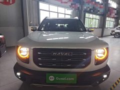 Great Wall Dachshund 2021 1.5T DCT Two-Wheel Drive Border Collie Edition - ფოტო 3