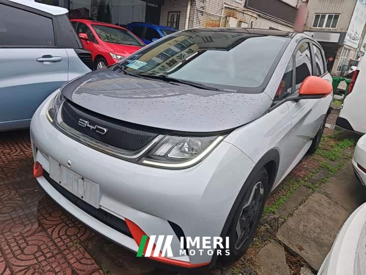 BYD Dolphin 405km Fashion Edition - ავტომობილი ჩინეთიდან