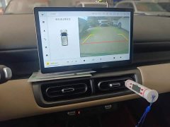 Wuling Binguo PLUS 330km 5-Seater - ფოტო 13