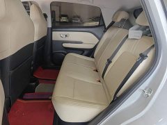 Wuling Binguo PLUS 330km 5-Seater - ფოტო 17