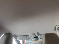 Wuling Binguo PLUS 330km 5-Seater - ფოტო 18