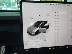 Tesla Model Y Rear-Wheel Drive - ფოტო 14