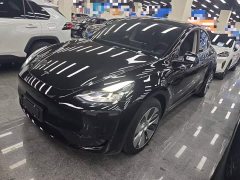 Tesla Model Y Rear-Wheel Drive - ფოტო 1