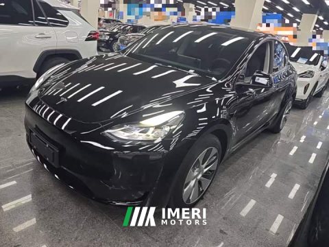 2022 Tesla Model Y Rear-Wheel Drive - ავტომობილი ჩინეთიდან