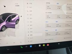 Tesla Model Y Rear-Wheel Drive - ფოტო 12