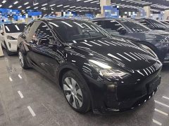 Tesla Model Y Rear-Wheel Drive - ფოტო 4