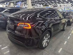 Tesla Model Y Rear-Wheel Drive - ფოტო 7