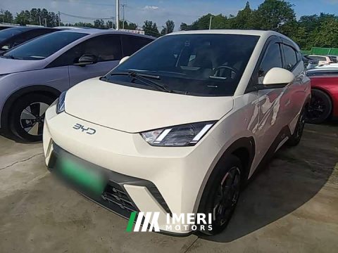 2024 BYD Seagull 2025 305km Freedom Edition - ავტომობილი ჩინეთიდან