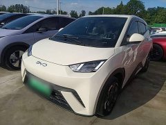 BYD Seagull 2025 305km Freedom Edition - ფოტო 2