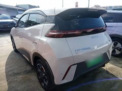 BYD Seagull 2025 305km Freedom Edition - ფოტო 5