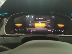 Volkswagen Magotan 2 Million Units Commemorative Edition 280TSI DSG Leading Type - ფოტო 12
