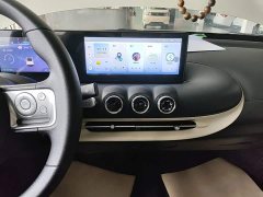 Wuling Binguo 203km Light Enjoy Edition - ფოტო 13