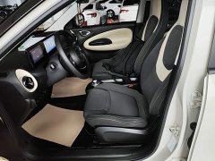 Wuling Binguo 203km Light Enjoy Edition - ფოტო 15