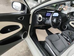 Wuling Binguo 203km Light Enjoy Edition - ფოტო 16