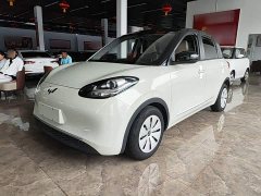 Wuling Binguo 203km Light Enjoy Edition - ფოტო 2