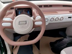 FAW Besturn Xiaoma 2025 222km Dynamic Edition - ფოტო 10