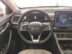 BYD Destroyer 05 Glory Edition DM-i 55KM Luxury - ფოტო 11
