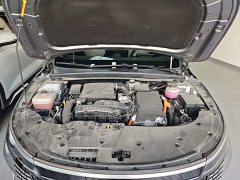 BYD Destroyer 05 Glory Edition DM-i 55KM Luxury - ფოტო 20