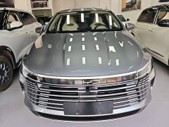 BYD Destroyer 05 Glory Edition DM-i 55KM Luxury - ფოტო 3