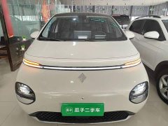 Baojun Yunduo 2023 460 Max - ფოტო 3