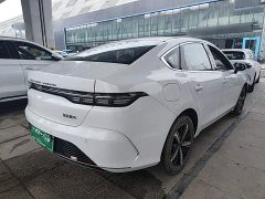 BYD Destroyer 05 2022 DM-i 55KM Luxury - ფოტო 7