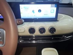 Wuling Binguo 2025 333km Joy Edition - ფოტო 13