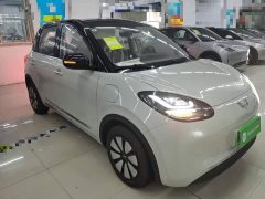 Wuling Binguo 2025 333km Joy Edition - ფოტო 4