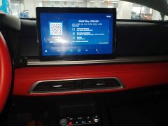 BYD e2 2021 Premium Edition - ფოტო 13