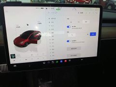 Tesla Model 3 Rear-Wheel Drive - ფოტო 13
