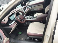 BYD Dolphin 07 DM-i Smart Driving Edition DM-i 1.5T 125km Flagship - ფოტო 11
