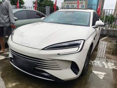 BYD Dolphin 07 DM-i Smart Driving Edition DM-i 1.5T 125km Flagship - ფოტო 2