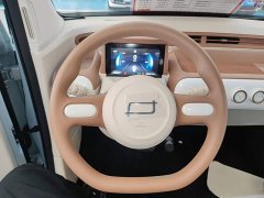 FAW Besturn Xiaoma 222km Colorful Edition - ფოტო 11