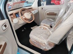 FAW Besturn Xiaoma 222km Colorful Edition - ფოტო 15