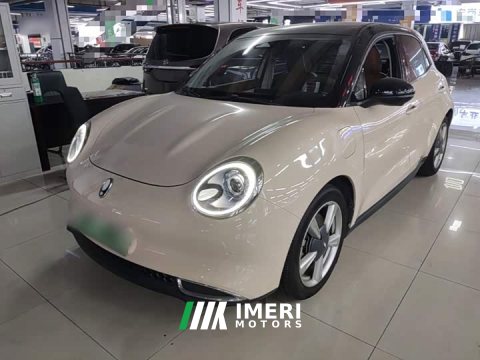 2021 ORA Good Cat 400km Standard Range Venus Edition LFP Battery - ავტომობილი ჩინეთიდან