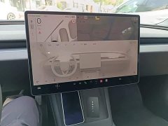 Tesla Model 3 Rear-Wheel Drive - ფოტო 13