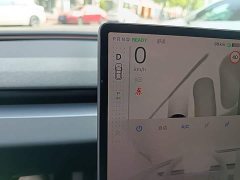 Tesla Model 3 Rear-Wheel Drive - ფოტო 14