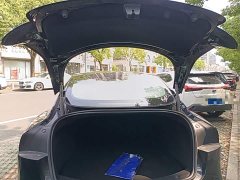 Tesla Model 3 Rear-Wheel Drive - ფოტო 19